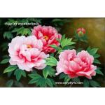 ครอสติสคริสตัลรูปดอกโบตั๋นนำพามาซึ่งความมั่งคั่ง โชคลาภและความร่ำรวย