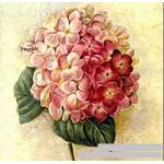 ภาพวาดดอกไฮเดรนเยีย