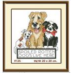 MINI 125+กรอบ