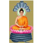 พระพุทธรูปปางนาคปรก