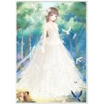 ชุดภาพติดคริสตัลกลม ลายเจ้าสาว ( งานติดเต็มภาพ ) ขนาด 40*50 ซม. คริสตัลกลม 29 สี อุปกรณ์ครบชุด
