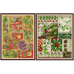 Elements of season (ไม่พิมพ์/พิมพ์ลาย)