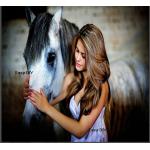 ม้าสีขาวและสาวงาม