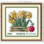 MINI 080+กรอบ