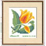 MINI 004+กรอบ