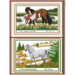 041-โปรแพ็คคู่ไม่พิมพ์ลาย พร้อมส่ง