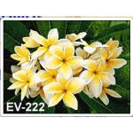 ลีลาวดี 6