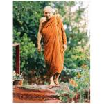 สมเด็จพระสังฆราชฯ