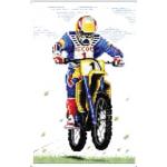 มอเตอร์ไซค์วิบาก