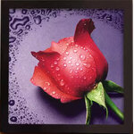 ชุดภาพติดคริสตัลกลม ลายช่อกุหลาบแดง ( ติดเฉพาะช่วงดอกกุหลาบ กิ่ง ใบ) ขนาด 30*28 ซม.ผ้าแคนวาสลงกาว คริสตัลกลม 10 สี อุปกรณ์ครบชุด