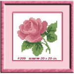 TMINI 209+กรอบ