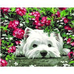 CG4279 ภาพระบายสีตามตัวเลข "หมาน้อยในพุ่มดอกไม้"