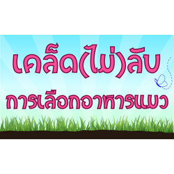 เคล็ด(ไม่)ลับ ในการเลือกอาหารแมว