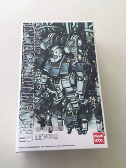 HG 1/144 GM (Thunderbolt Edition) [Daban]