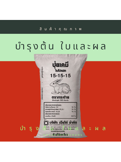 15-15-15 รัสเซีย กระต่าย