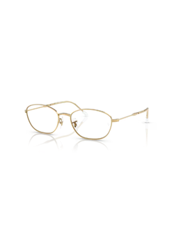 กรอบสายตา Ray Ban RB3749V 2500 55