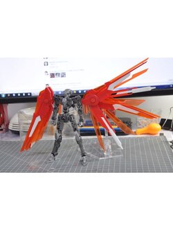 LX HG1 / 144 Extreme Wings