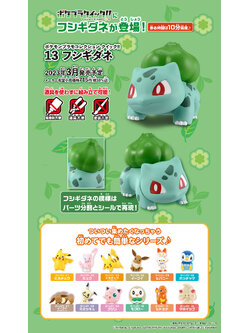 POKEMON PLAMO BULBASAUR