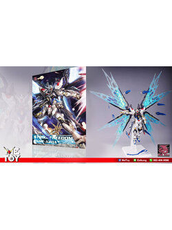 MG 1/100 Strike Freedom Ver.MB Style [MOMOKO]