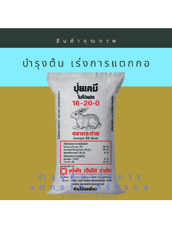 16-20-0 กระต่าย