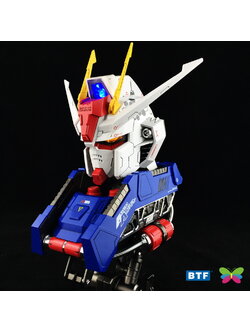 1/24 Aile strike Gundam Head [BTF]
