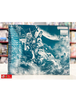 (พร้อมส่ง) MG 1/100 Gundam Astray Out Frame D