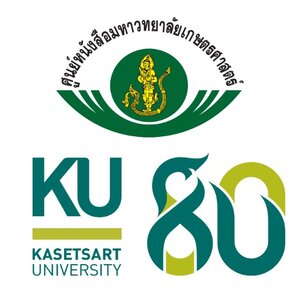 กระเป๋า