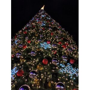 ต้นคริสต์มาส