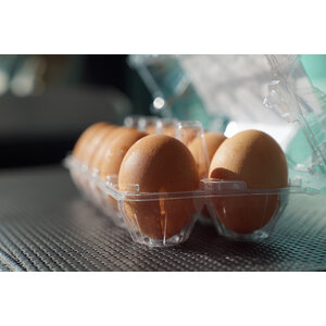 กล่องใส่ไข่