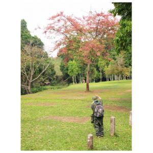 อะไหล่ ซิป กระดุม