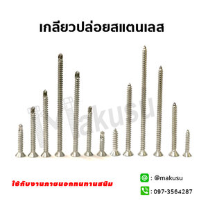 เกลียวปล่อยสแตนเลส 304 เกลียวปล่อยสแตนเลส 410 ปลายสว่าน Flat Head Phillip Tapping Screw