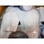 ชุดเต็มตัว 2018 Stormtrooper Costume - Star Wars Costume
