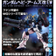 P-Bandai MG 1/100 Gundam Heavy Arms Custom EW