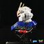 1/24 Aile strike Gundam Head [BTF]
