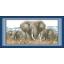 Holy elephants (พิมพ์ลาย)
