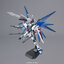 MG 1/100 Freedom Gundam Ver.2.0
