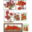 Poppies flower (ไม่พิมพ์/พิมพ์ลาย)