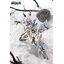Pre-Order 1/12 Carolina - Mad Wolf [Nuke Matrix]