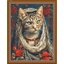 Princess cat (พิมพ์ลาย)