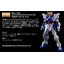 (พร้อมส่ง) MG 1/100 Gundam Astray Out Frame D