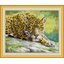 Jaguar (ไม่พิมพ์/พิมพ์ลาย)