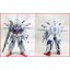 MG 1/100 Providence ZGMF-X13A Ver.SUN [DevilArts]