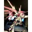 PRE-ORDER Daban MG 1/100 6650P ZGM F-X10A Sakura pink Freedom Ver.2.0