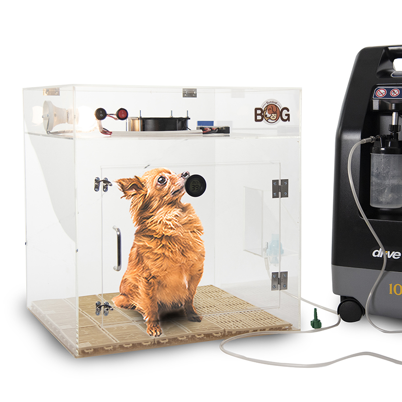 ตู้พักฟื้นสัตว์ สำหรับให้ออกซิเจนสัตว์ และพ่นละอองยา (เฉพาะตู้พักฟื้น)