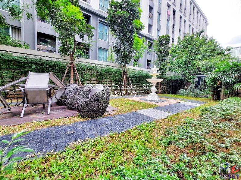 ขายคอนโด ใกล้รถไฟฟ้า ย่าน จอมพล จตุจักร รัชโยธิน ลาดพร้าว วิภาวดี พหลโยธิน : ดิอิลิแกนท์ ลาดพร้าว ซ.1 : 29.96 ตารางเมตร