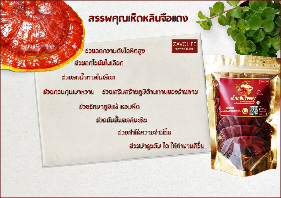 เห็ดหลินจือแดงอบแห้ง (ออร์แกนิค) เห็ดหลินจือโครงการหลวงพันธุ์G2 (ดอกเกรดA) บำรุงร่างกาย