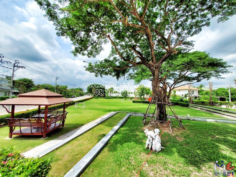 ขายบ้านเดี่ยว ใกล้ ม.มหิดล ย่าน ศาลายา วัดพระเงิน ศรีประวัติ : อินนิซิโอ ปิ่นเกล้า-วงแหวน : 2 ชั้น 50 ตารางวา