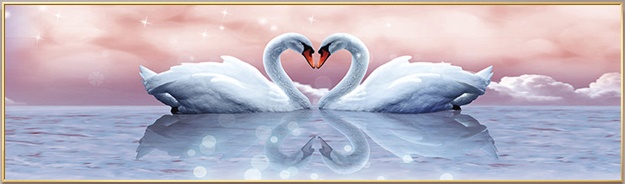 Heart & soul (พิมพ์ลาย)