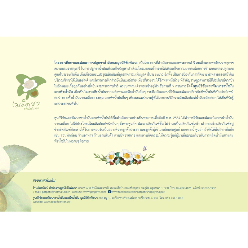 Exp.19/02/2026 Body oil น้ำมันเมล็ดคามีเลีย กลิ่นดอกหอมหมื่นลี้