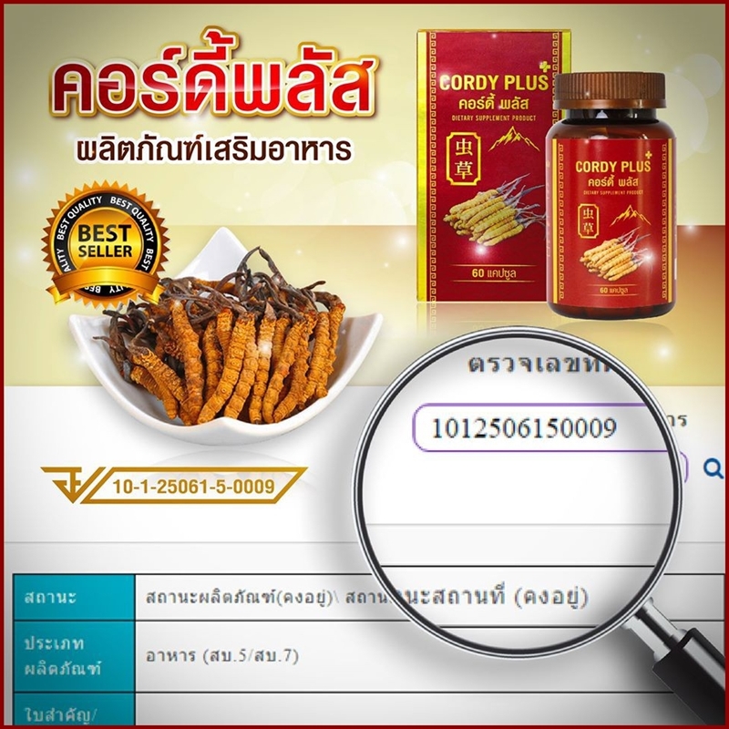 คอร์ดี้ พลัสวัน (Cordy Plus1) ถั่งเช่าทิเบตแท้100% สารสกัดเกรดพรีเมี่ยม ผลิตภัณฑ์เสริมอาหาร บำรุงร่างกาย (60 แคปซูล)